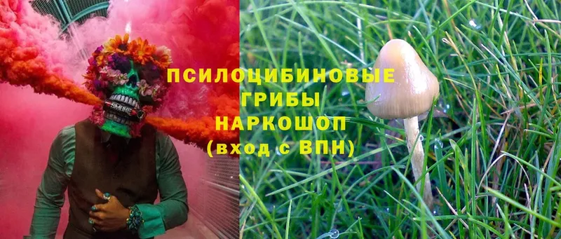 Галлюциногенные грибы MAGIC MUSHROOMS  Иланский 